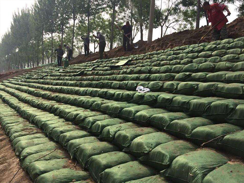石嘴山专业生态袋批发
